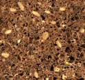 Schwarzbrot - Scheibe