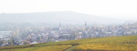Langenlonsheim im Herbst